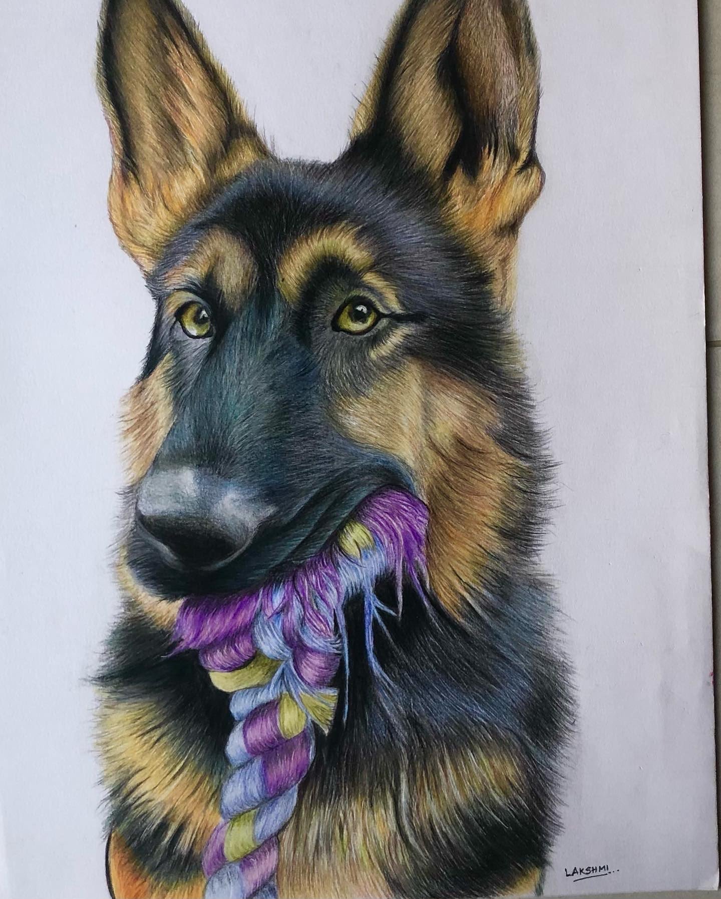 German Shepherd — artwork by Lakshmi Sridhar