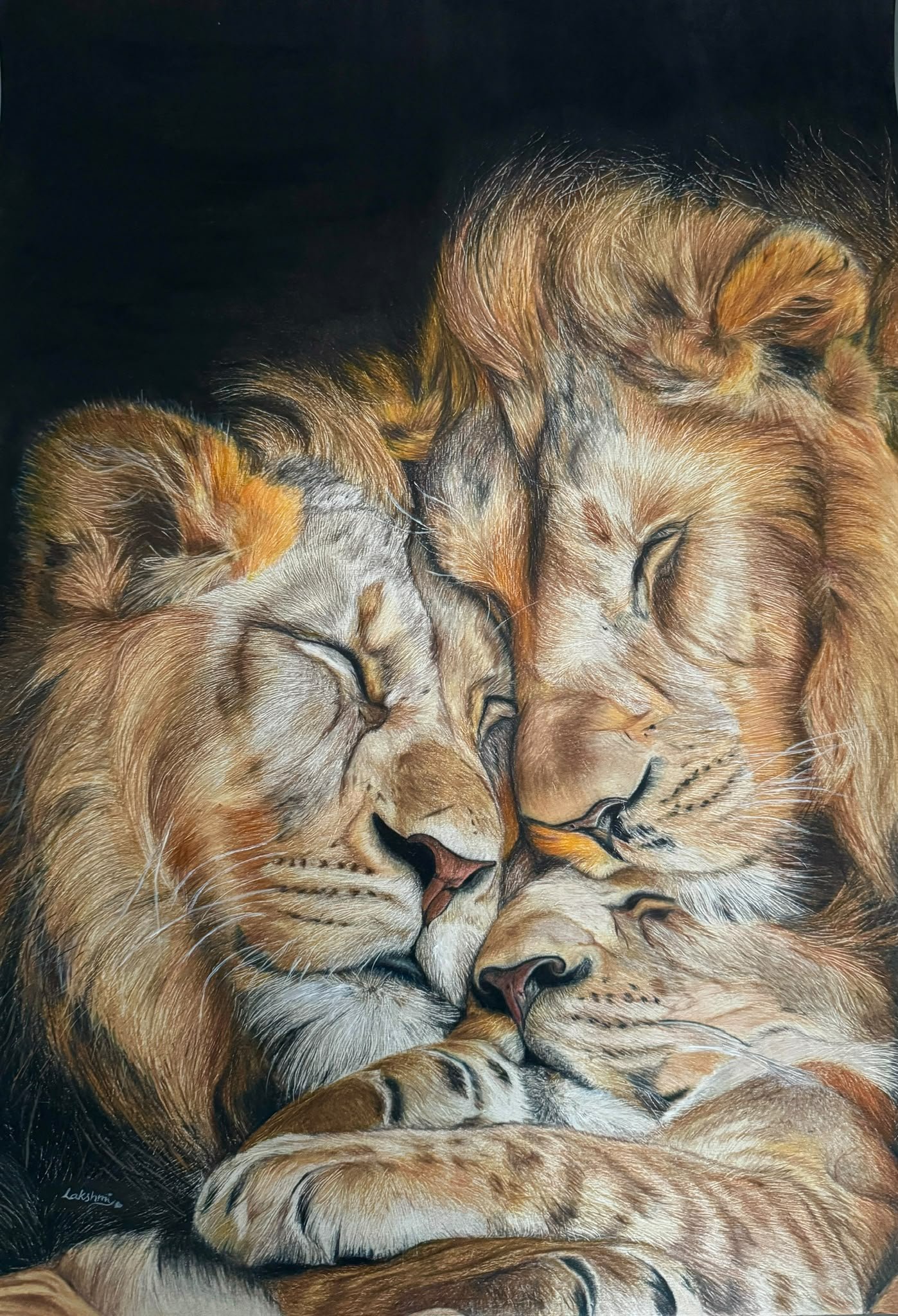 Lion Family — artwork by Lakshmi Sridhar