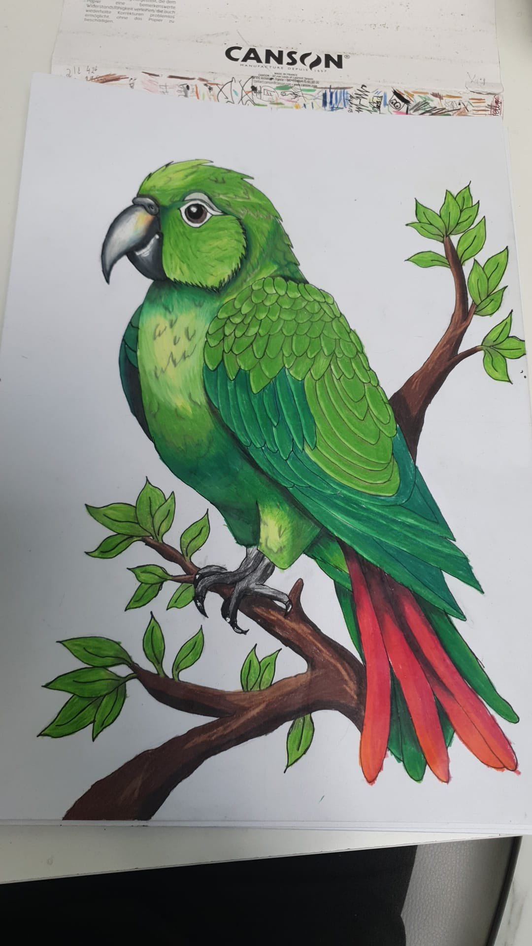 Green Parrot — student Christmas card, 2026
